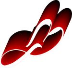 Born Again Creation Designs